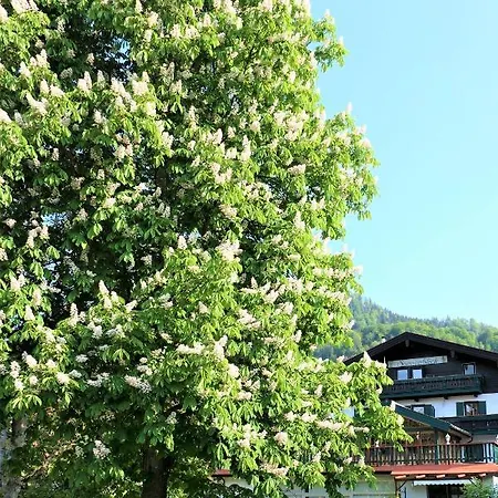 Sonnenblick Apartment *